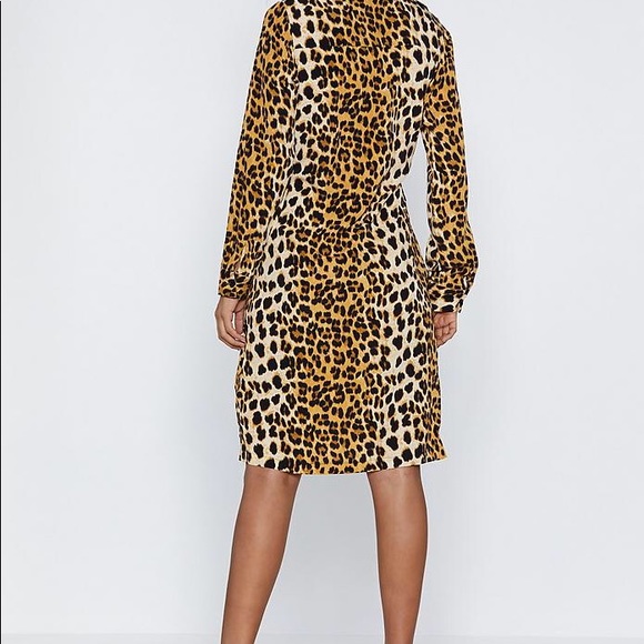 Leopard Print Dress - Picture 4 of 4